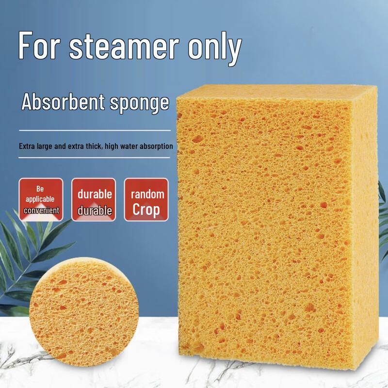 Steamer Cleaning Sponges