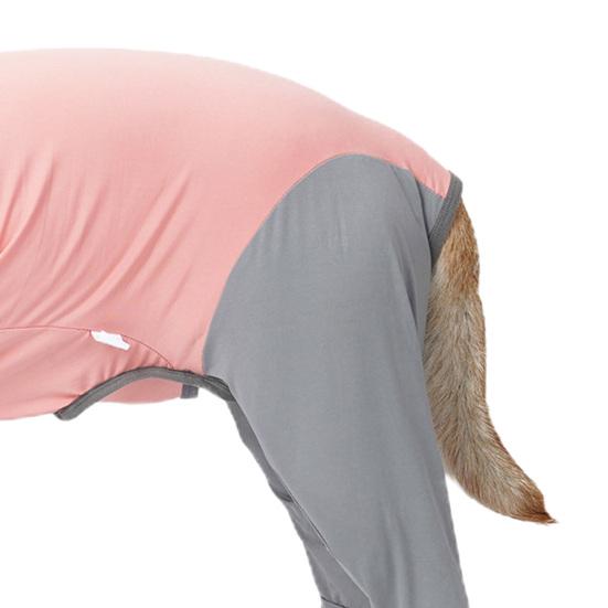 Pet Recovery Suit High Elasticity Comfortable Convenient Soft Allergy Free Prevent Licking