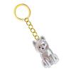 Transparent Pet Memorial Keychain Pet Hair Bottle For Preserving Dog Hair And Ashes In A Leakproof Keepsake Capsule