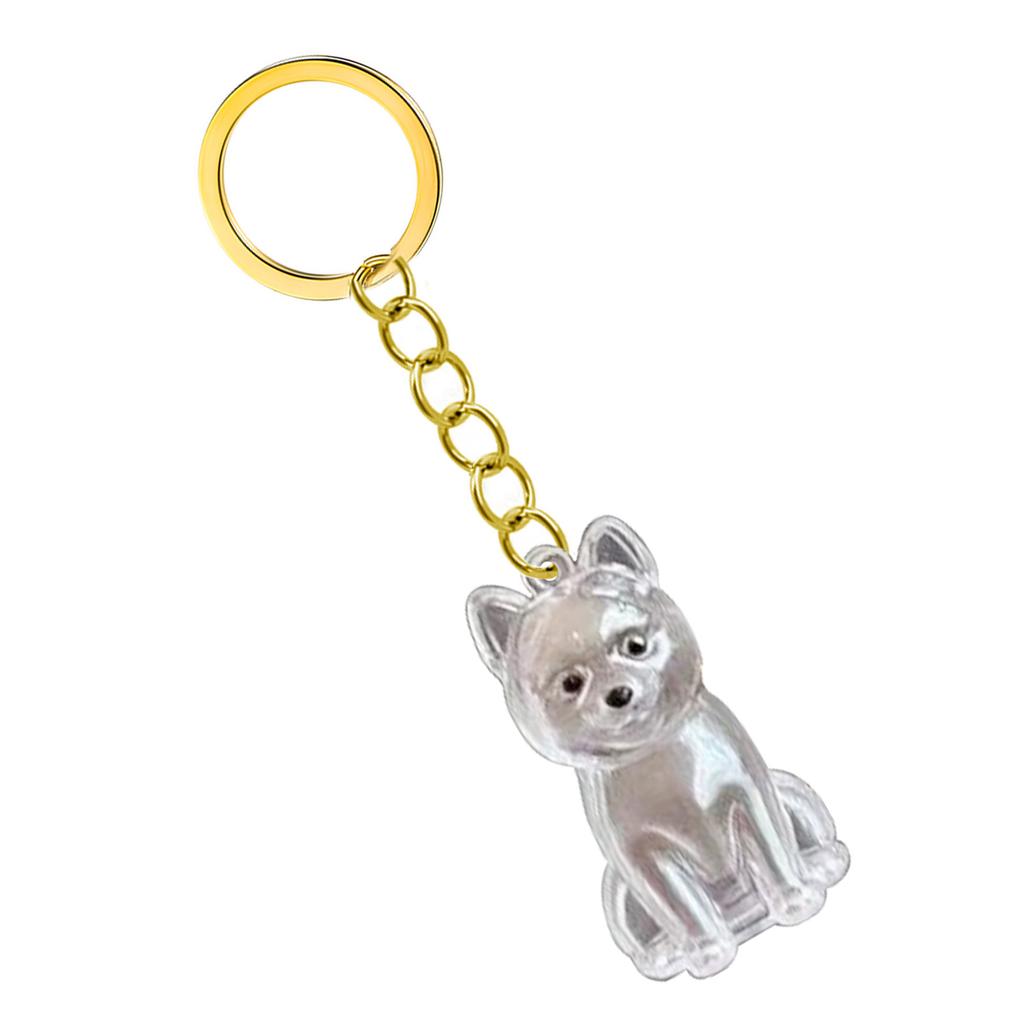 Transparent Pet Memorial Keychain Pet Hair Bottle For Preserving Dog Hair And Ashes In A Leakproof Keepsake Capsule