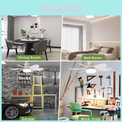 Stropní svítidla – Lustry a závěsná svítidla