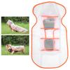 Dog Raincoat Windproof SeeThrough Four Feet Hooded Rain Clothing for Outdoors Waterproof Walking(M Orange)