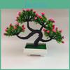 Realistic Rose The Pine Greeting Guests Bonsai With Plastic Material For Gift Home And Event Decor