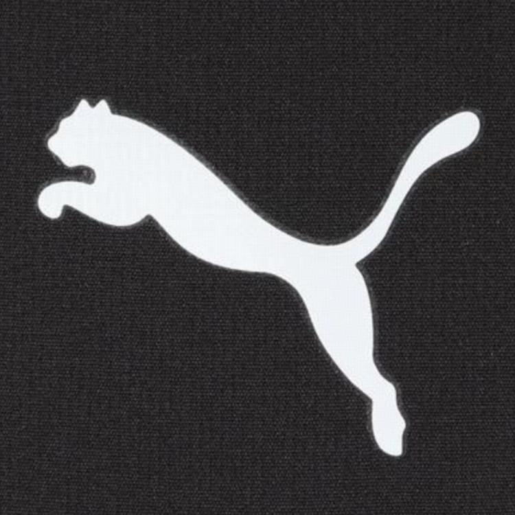 Puma Logo Elastic Waist Casual Pants Men bottoms 528934-01
