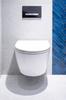 Soft-close universal toilet seat for Carsanit Kolo Roca Duroplast Kizomba