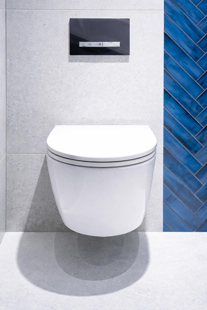Soft-close universal toilet seat for Carsanit Kolo Roca Duroplast Kizomba