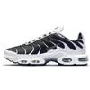 Air Max Plus White Black Metallic Pewter CT1094-102