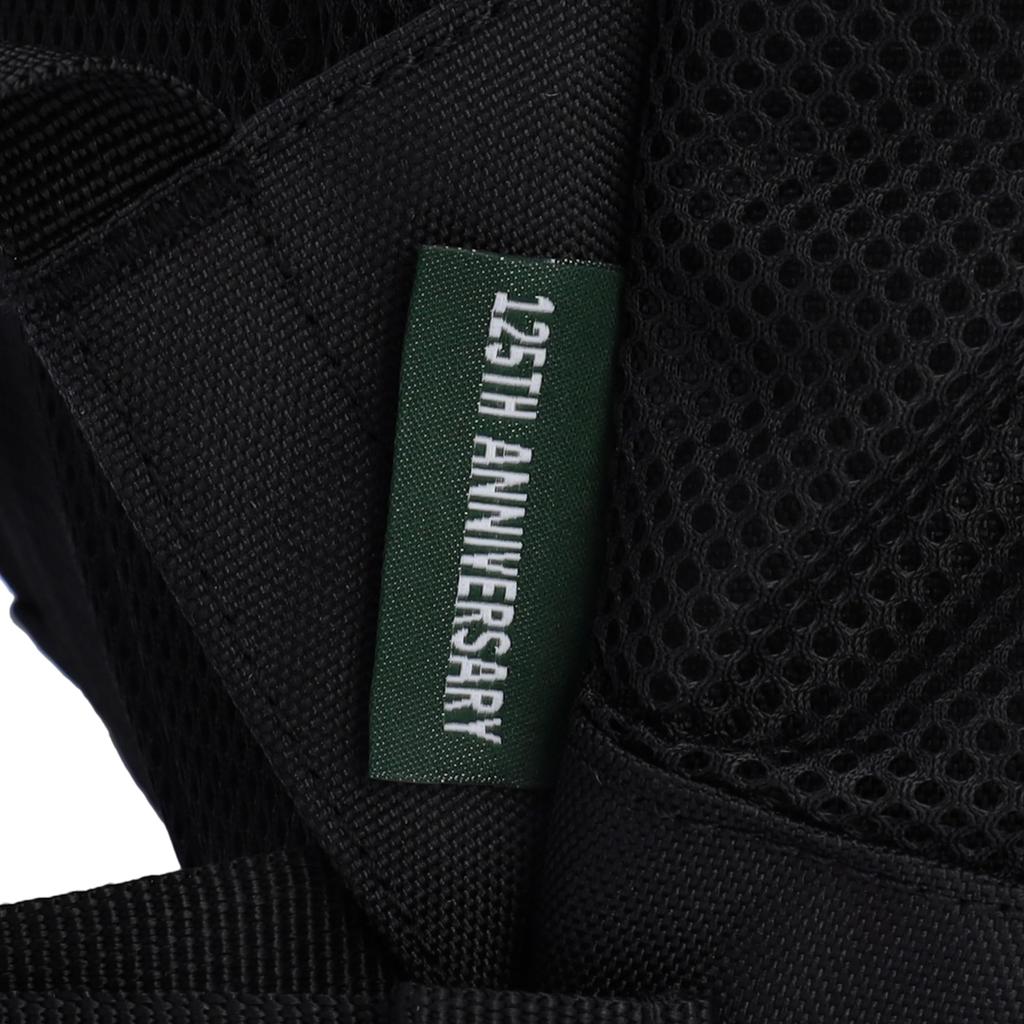 Coleman Walker 25 Brown Backpack,