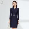 Women's Professional Work Dress