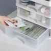 Plastic Makeup Storage Box with Drawers - a Multifunctional Makeup Storage Box for Jewelry, Brushes, and Beauty Essentials