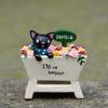 Small Fresh Black Cat Rose Garden Plant Pot Ornament For Home Office Gifts And