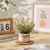 Garden Decor Mini Artificial Potted Flowers Ornaments Home Decorations Simulation Plants Lifelike Potted Plants Desk