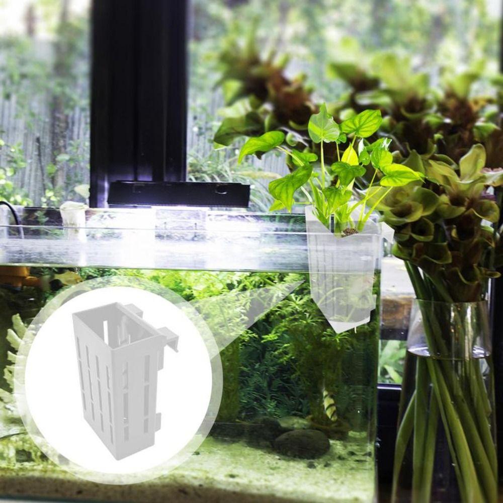 Water Plant Stand Fish Tank Hydroponic Planting Basket Aquarium Planter Cups  for Fish Tank