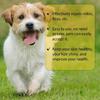 1ml Pet Fleas Drop for Small Dogs Remove Parasites Effective Deodorizing Liquid