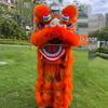 Adult Blinking Foam Lion Dance Set