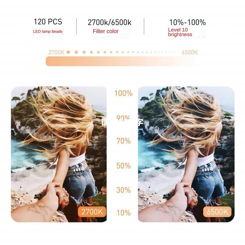 10,2" LED Selfie-Ringlicht mit Stativ und 2 Telefonhaltern Ringlicht