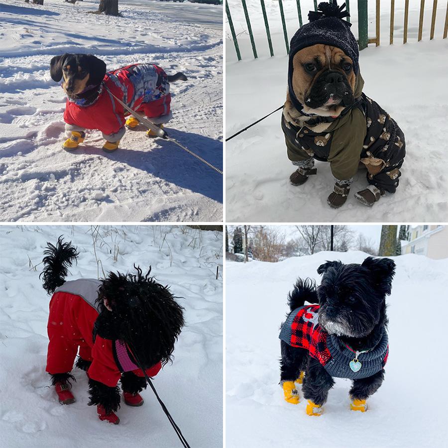Pet Dog Shoes Winter Super Warm 4pcs/set Dog Boots Leather Anti Slip XS XXL Shoes for Small Dog Pet Product Chihuahua Waterproof