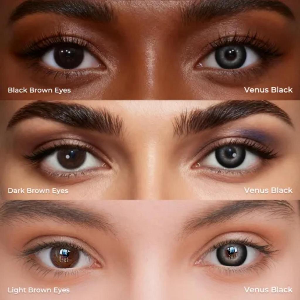 Venus Black Colored Contact Lenses