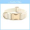 Collier pour animal de compagnie Collier pour chien Non extensible Avec boucle dorée Pour chiens de petite à grande taille