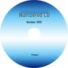 Dispozitive de stocare – CD-uri și DVD-uri