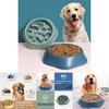 Vibrant Anti-spill Pet Feeding Bowl Slow Feeder Design For Dogs And Cats Multiple Colors Available