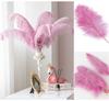 10pcslot Natural White Ostrich Feathers 15-50cm Big Plumas for Wedding Home Decoration Ostrich Plumes Table Centerpiece Crafts