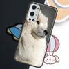Samoyed Puppy For Realme GT7 GT6 15 Pro 10 11 12 14 13 Pro Plus C75 C71 C65 C55 C63 C61 C53 C67 C35 Case