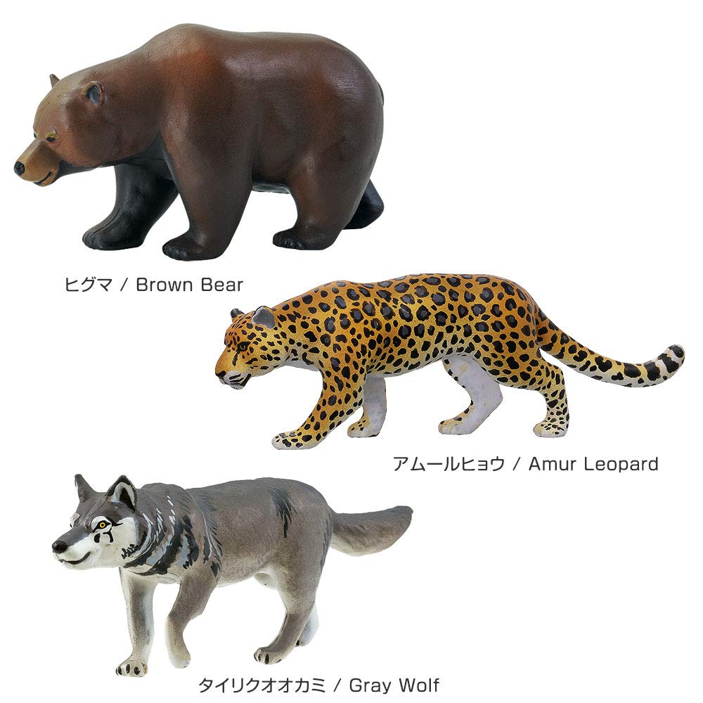 Calorata Animal Geography Zone 3 Figure 3D Encyclopedia of the Old North and New North Zones 12 Species Includes Realistic Figure Box Toy Educational