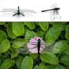 Simulation Dragonfly Mosquito Repellent Mini Dragonfly Ornament Simulation Dragonfly Animal Model For Outdoor Garden Farm
