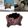 Stylish Cement Tree Root Succulent Pots Cement Tree Root Look Planter Flower Pots for Adding Unique Charm to Interiors