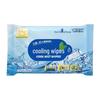 Haishi Hainuo Ice Cooling Wipes