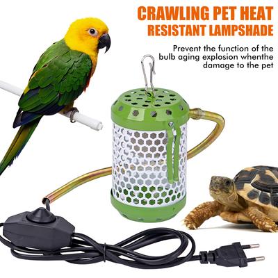 Reptiler – Terrarium
