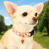 Fruit Print Dog Strawberries Collar Soft Adjustable Dog Necklace Comfortable with Pendant Cat Watermelon Collar Pet Accessories