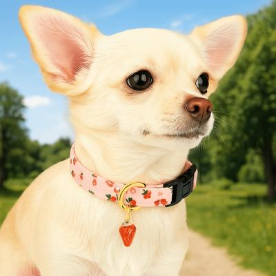 Köpek – Köpek Tasmaları ve Tasma Kayışları