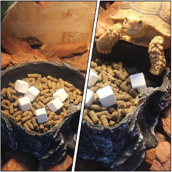 

NUOBESTY 24pcs Fish Tank Calcium Stone Calcium Mineral Reptiles Molar Cube Calcium Supplement Grinding Rock Block for Freshwater Aquarium Tank