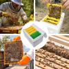 Foam Bee Box Queen Bee Breeding Box Bee Pollination Box Queen Bee Rearing Beehive Beekeeper Suppliers