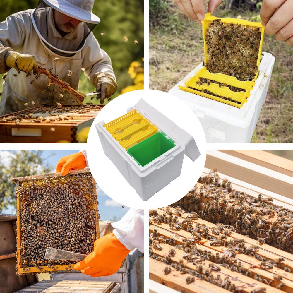 Foam Bee Box Queen Bee Breeding Box Bee Pollination Box Queen Bee Rearing Beehive Beekeeper Suppliers
