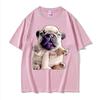 French Bulldog Funny Pibble Meme TShirts Unisex Summer Tops Kawaii Cute T Shirt Unisex High Quality 100 Cotton TShirt Streetwear