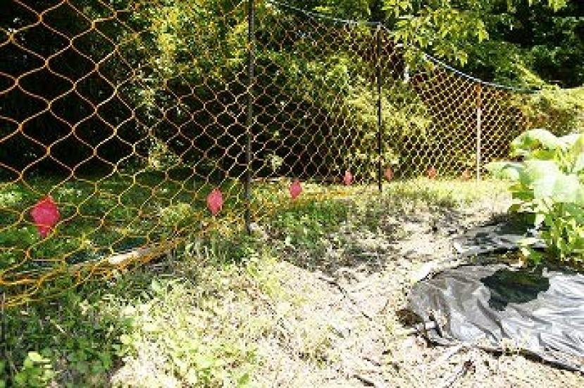 Why Do Palm Civets Run Indoor Set with Over Repelling Rate for Palm Raccoon and Pest Control Away? 15-Piece 95% Civets, Repellents,