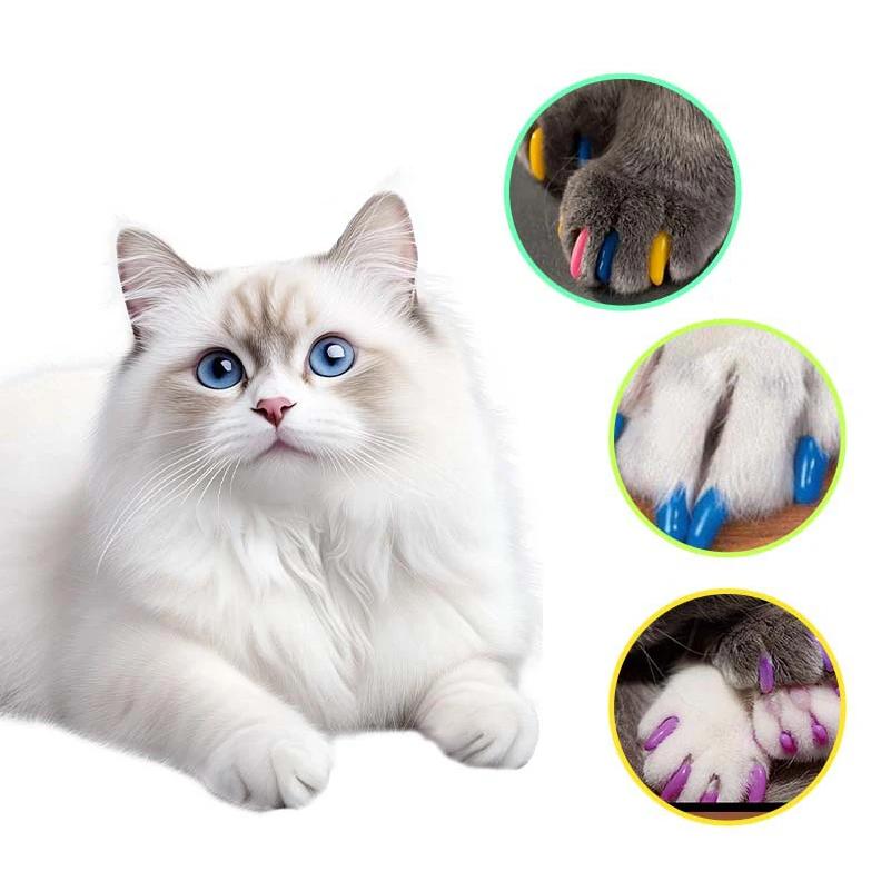 3pc Colorful Cat Nail Caps Soft Cat Claw Soft Paws 20 PCS/lot with Free Adhesive Glue Size XS S M LGift for Pet Cat Grooming