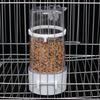 Automatic Bird Water and Feed Dispenser for Large Parrots and Mynahs