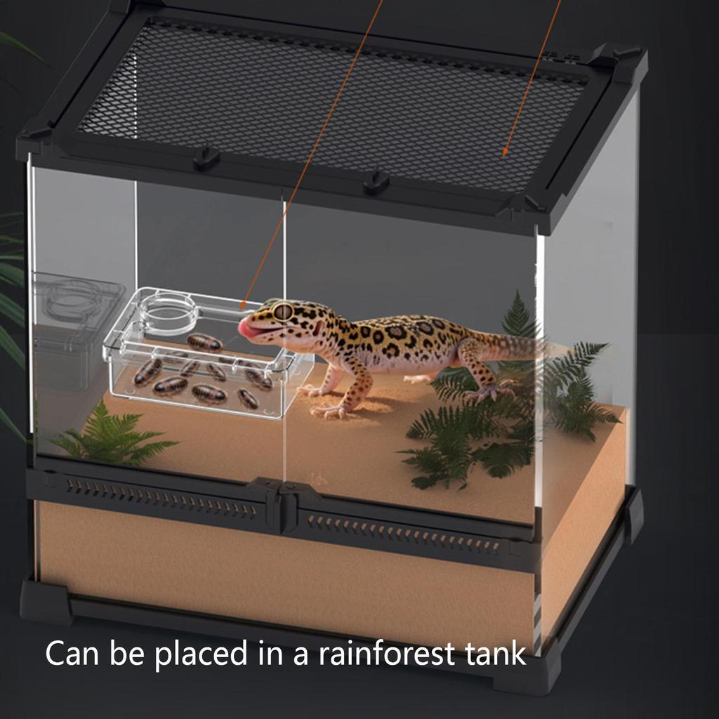 Reptilien Futternapf Ausbruchsicher Futterteller für Kronengecko Kleintier Futterspender für Spinne Eidechse Schildkröte Käfig Terrarium Chamäleon