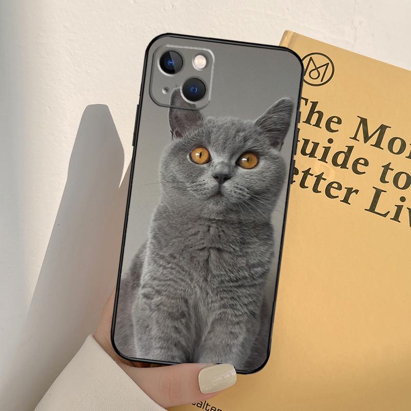 British Shorthair Cat Phone Case For iPhone 17 16 15 14 11 12 13 Pro Max Mini XR 16e 15 16 Plus 17 Air Full Cover