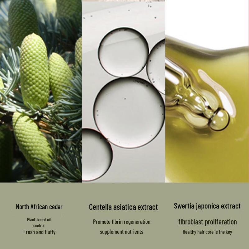 POTE Oil Control Sea Salt Shower Gel & Shampoo Set