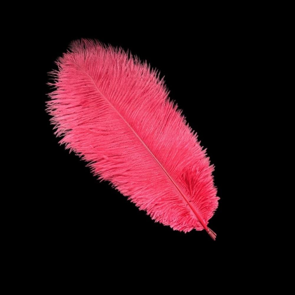 10Pcs Stage Props Ostrich Feathers 15-20cm Colored Ostrich Feathers  Home Decoration