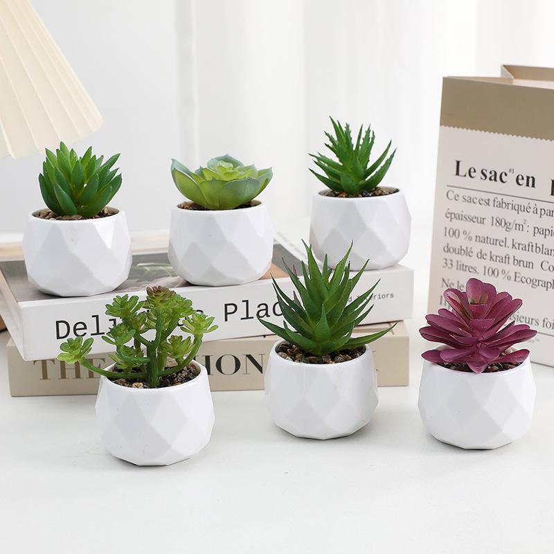Diamond Succulent Set: Desktop Potted Ornament Decor