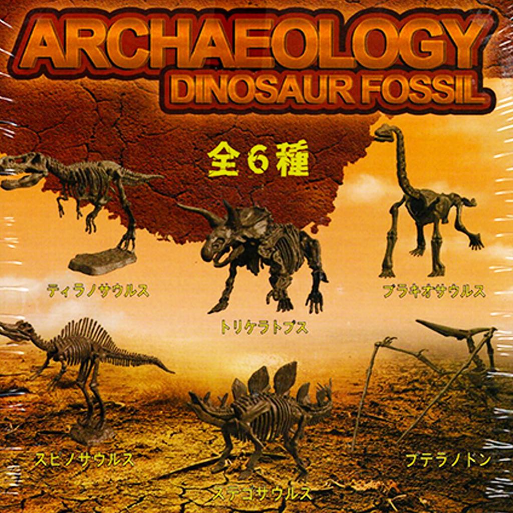 Excavation Kit for Pteranodon Ages Includes Dinosaur Figure and and Magnifying Plaster Fossil Plastic Independent Science Educational Toy Dinosaurs,