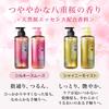 Ichikami THE PREMIUM [Silky Smooth] Extra Damage Care Introducing Serum in Shampoo Refill 340ml x 2 Set with Bonus | Non-Silicone Hair Care Men's Wome