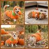 Warm Fleece Halloween Pet Clothes Orange Pumpkin Dog Costume Puppy Warm Outfits  Photo Shoot