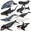 Realistic Blue Whale Pvc Marine Animal Figures For Educational Toys And Display